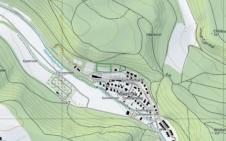 Landeskarte swisstopo mit dem Schutzperimeter von Summerhaalde (Naturschutzgebiet)