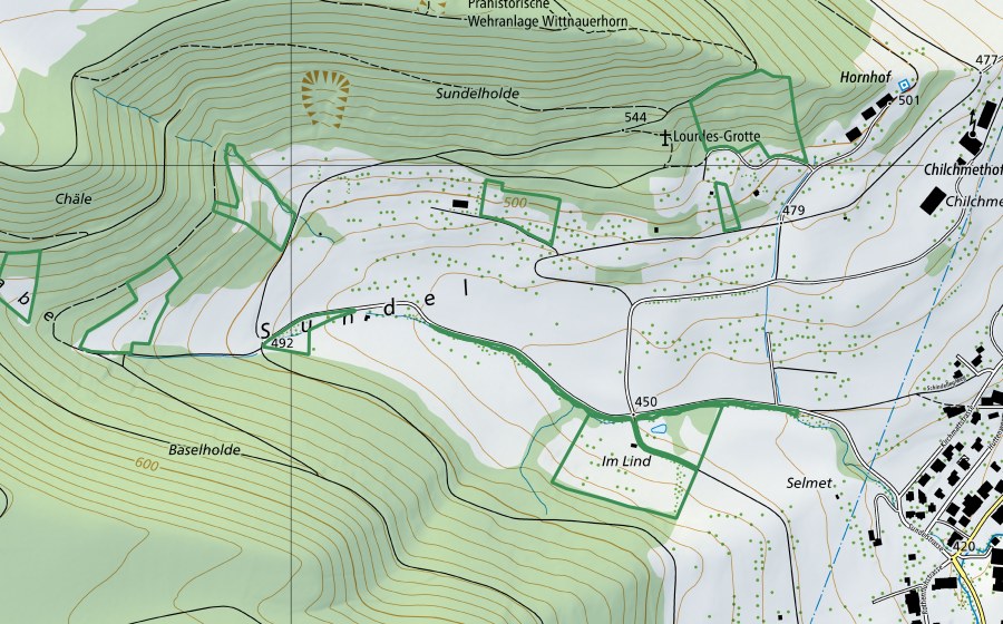 swisstopo national map showing the protected perimeter of Sundel, Chäle, Chälegrabe (Nature reserve)
