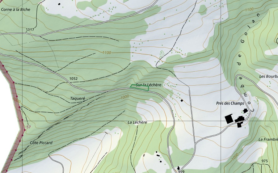 Landeskarte swisstopo mit dem Schutzperimeter von Sur la Léchère (Naturschutzgebiet)