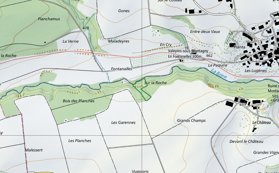 Carte nationale swisstopo avec le périmètre protégé de Sur la Roche (Réserve naturelle)
