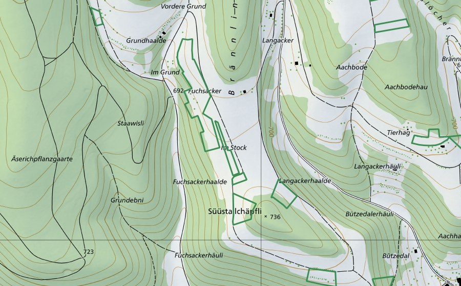 Carte nationale swisstopo avec le périmètre protégé de ​Süüstallchäpfli-Fuchsacker (Réserve naturelle)