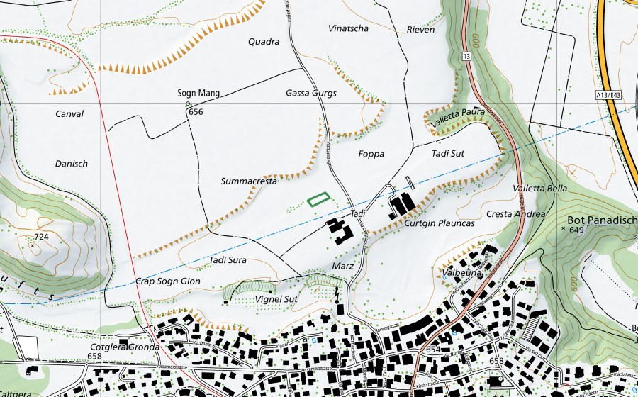 Landeskarte swisstopo mit dem Schutzperimeter von Tadi (Naturschutzgebiet)