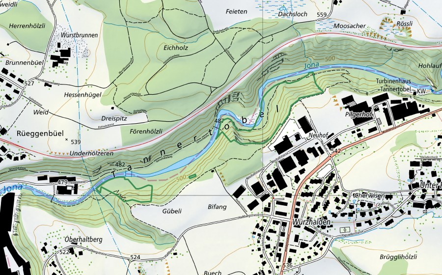 Carte nationale swisstopo avec le périmètre protégé de Tannertobel Rüti (Réserve naturelle)
