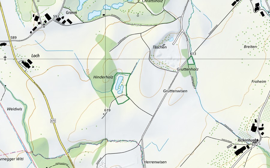 Carte nationale swisstopo avec le périmètre protégé de Täschen (Réserve naturelle)