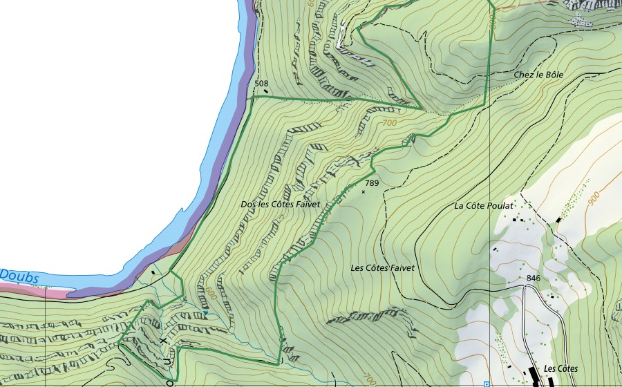 Landeskarte swisstopo mit dem Schutzperimeter von Theusseret (Naturschutzgebiet)