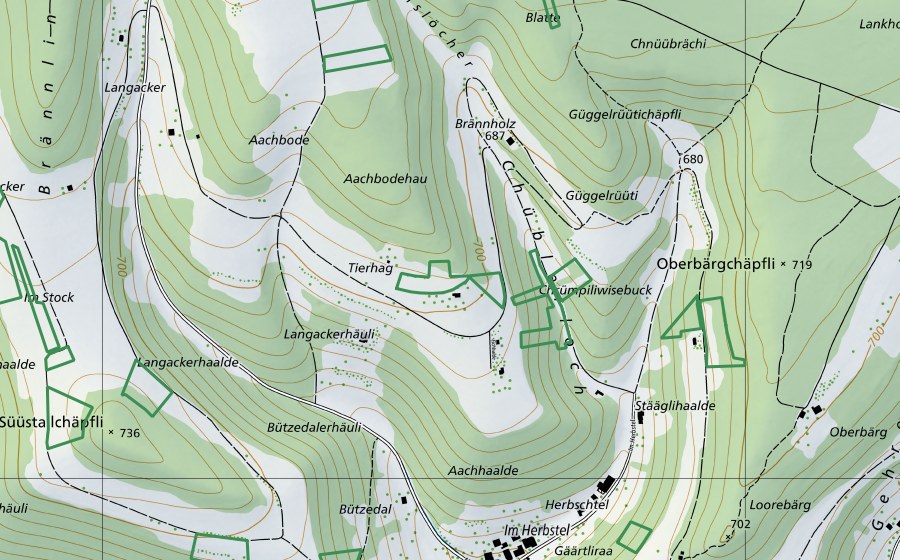 Carte nationale swisstopo avec le périmètre protégé de ​Tierhag (Réserve naturelle)