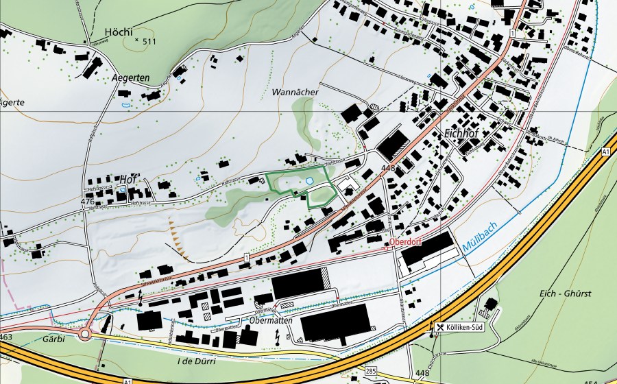 swisstopo national map showing the protected perimeter of Tongrube (Nature reserve)