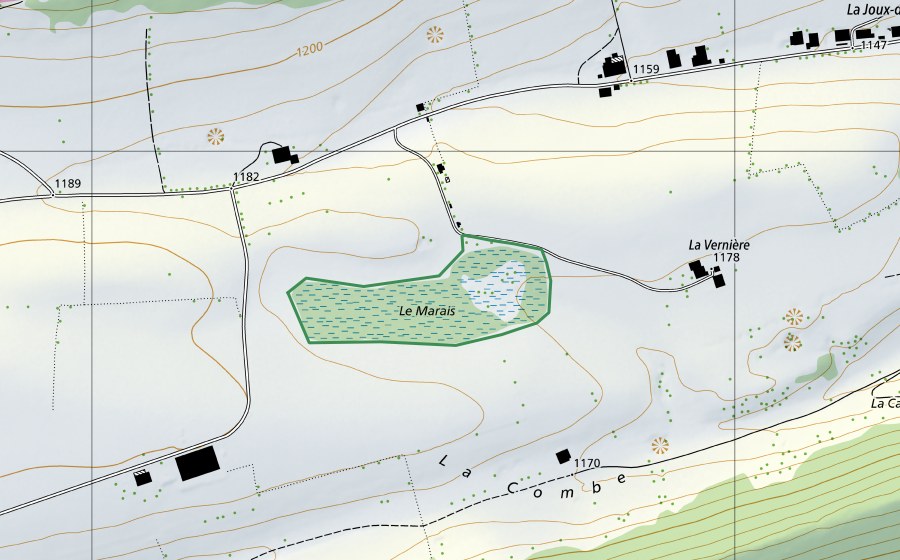 Landeskarte swisstopo mit dem Schutzperimeter von Tourbière Joux du Plâne (Naturschutzgebiet)