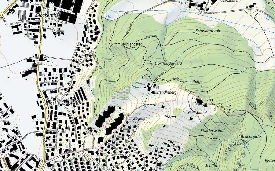 swisstopo national map showing the protected perimeter of Trockenmauer Brändlisberg (Nature reserve)