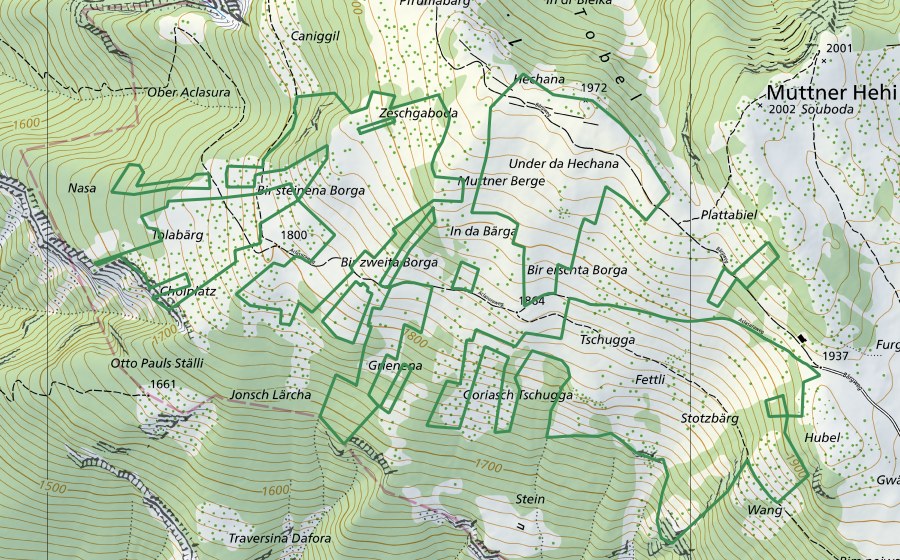 Landeskarte swisstopo mit dem Schutzperimeter von Trockenwiesen Obermutten (Naturschutzgebiet)