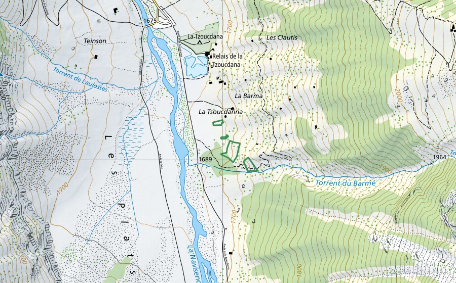 Landeskarte swisstopo mit dem Schutzperimeter von Tsoucdanna (Naturschutzgebiet)