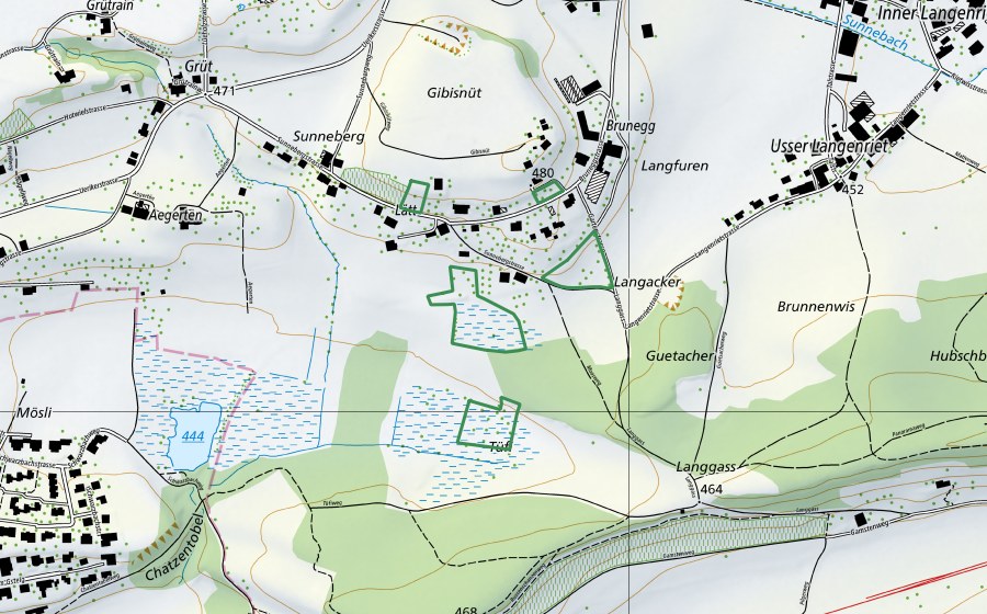 swisstopo national map showing the protected perimeter of Tüfi (Nature reserve)