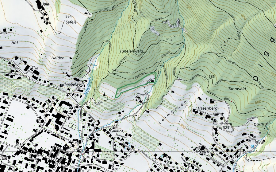 Carte nationale swisstopo avec le périmètre protégé de Tünelen (Réserve naturelle)