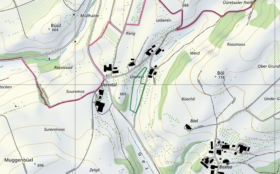 swisstopo national map showing the protected perimeter of Uerental (Nature reserve)