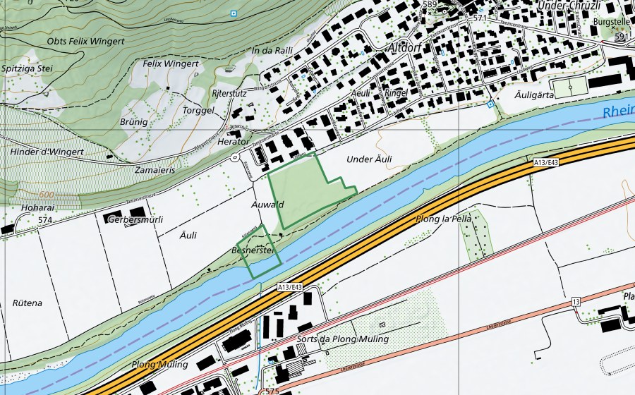 Landeskarte swisstopo mit dem Schutzperimeter von Unterau - Rheinauen (Naturschutzgebiet)
