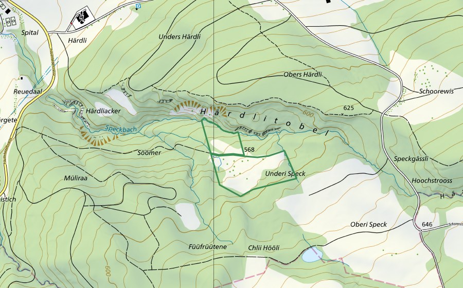 Landeskarte swisstopo mit dem Schutzperimeter von Untere Speckwiesen (Naturschutzgebiet)