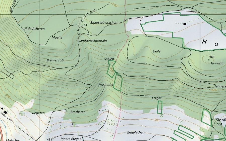 swisstopo national map showing the protected perimeter of Ursisbode (Nature reserve)