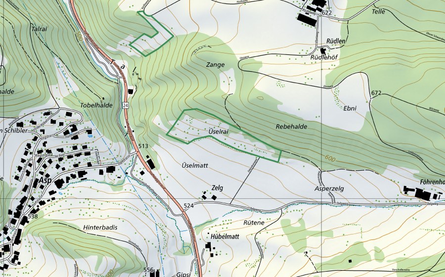 swisstopo national map showing the protected perimeter of Üselrai (Nature reserve)