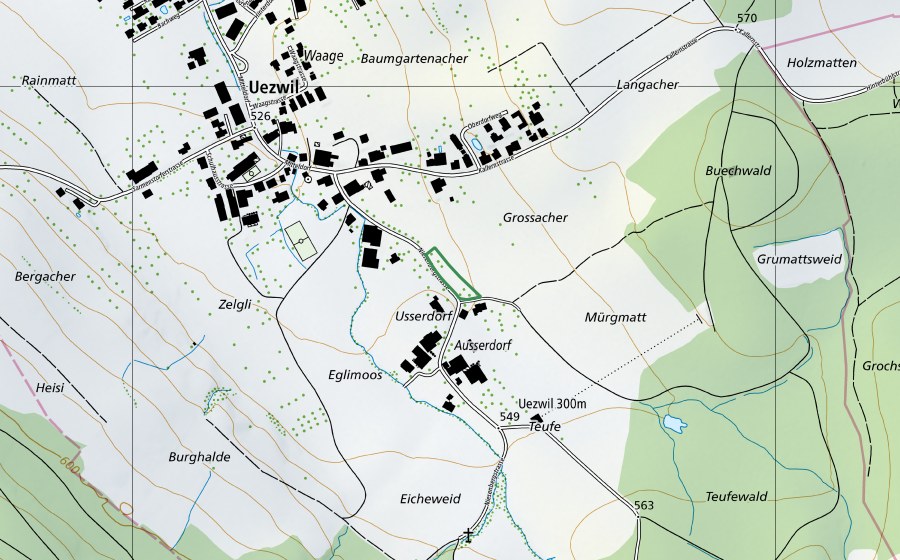 Landeskarte swisstopo mit dem Schutzperimeter von Usserdorf (Naturschutzgebiet)