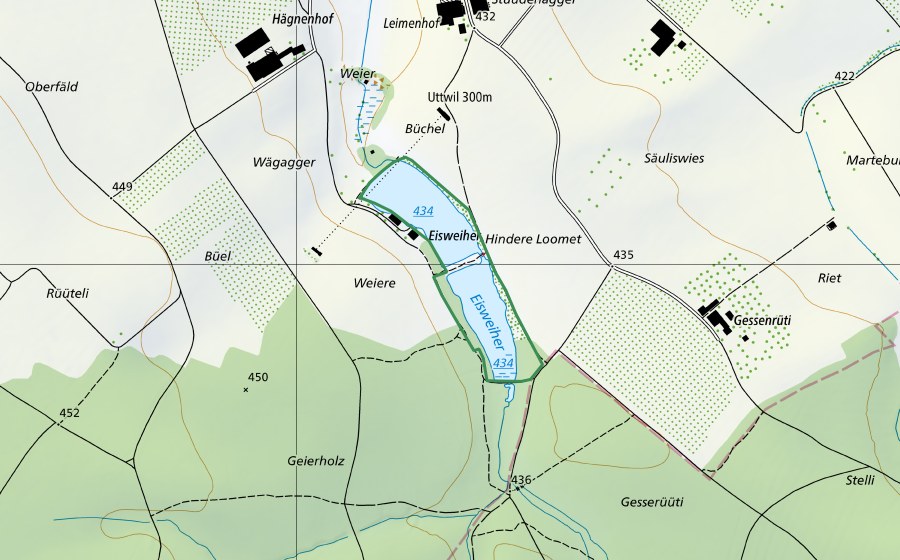 Carta nazionale swisstopo con il perimetro protetto di Uttwiler Weiher (Riserva naturale)
