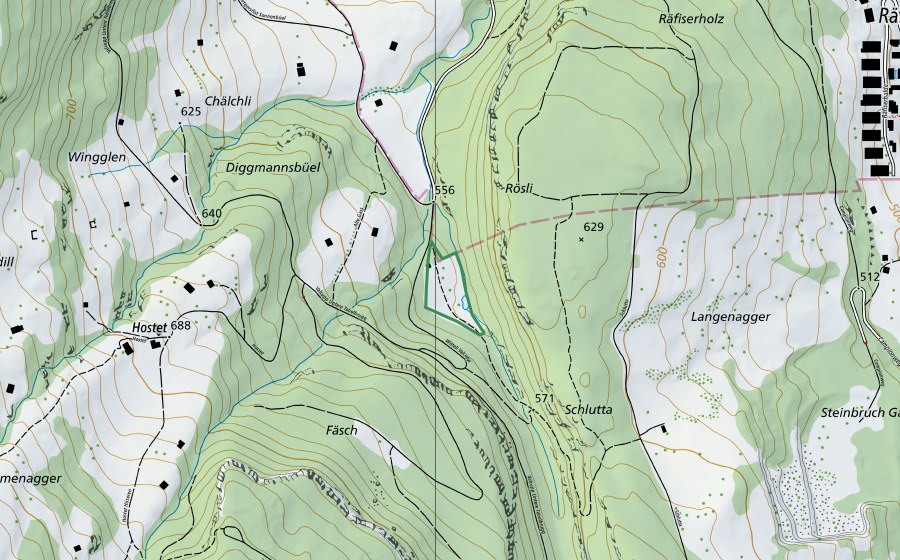 Landeskarte swisstopo mit dem Schutzperimeter von Valcupp-Witeli (Naturschutzgebiet)