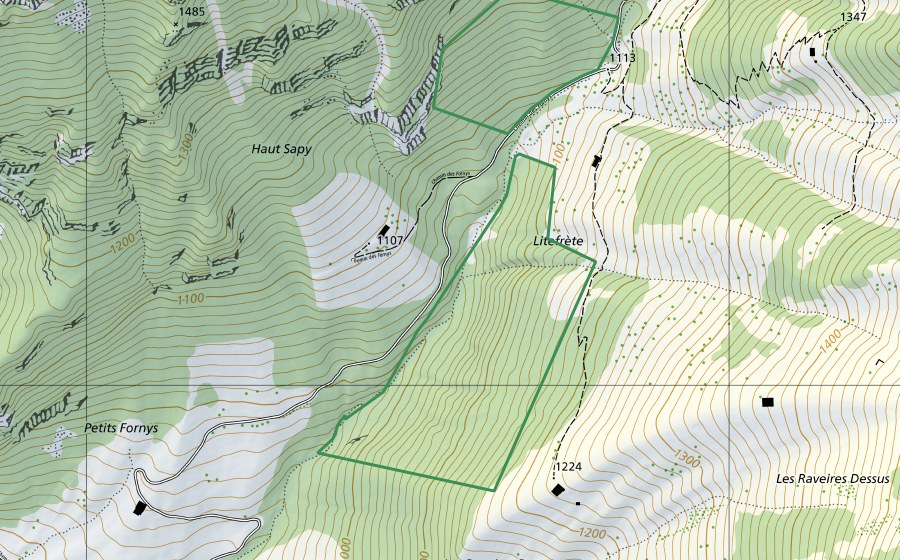 Carte nationale swisstopo avec le périmètre protégé de Vallée d'Osseyres (Réserve naturelle)