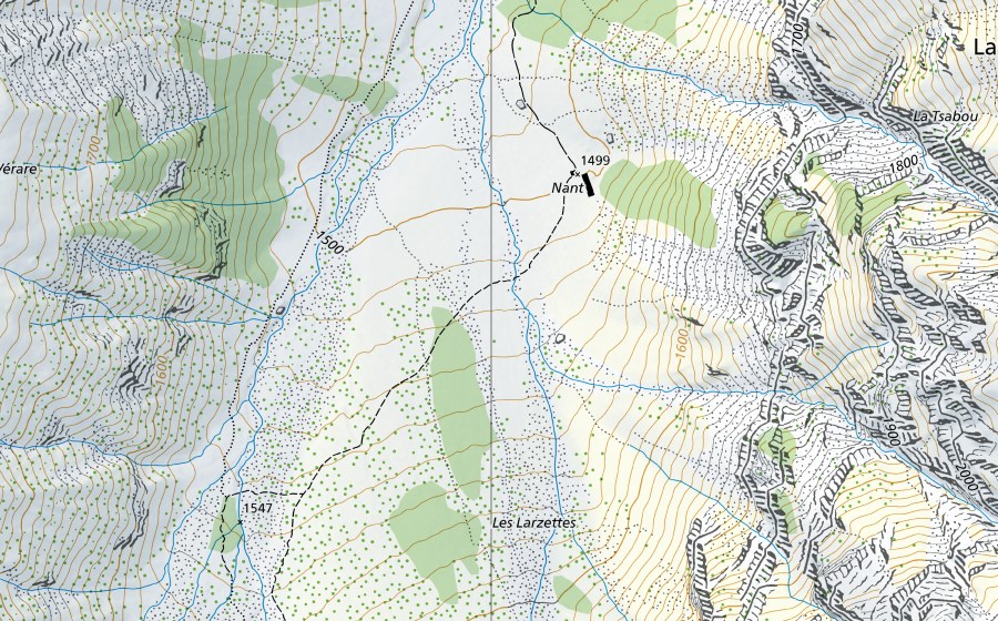 Carte nationale swisstopo avec le périmètre protégé de Vallon de Nant (Réserve naturelle)