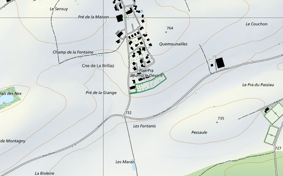 Landeskarte swisstopo mit dem Schutzperimeter von Verger Lovens (Naturschutzgebiet)