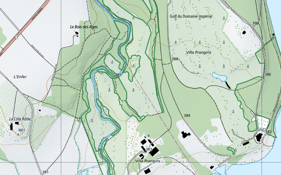 Landeskarte swisstopo mit dem Schutzperimeter von Villa Prangins (Naturschutzgebiet)