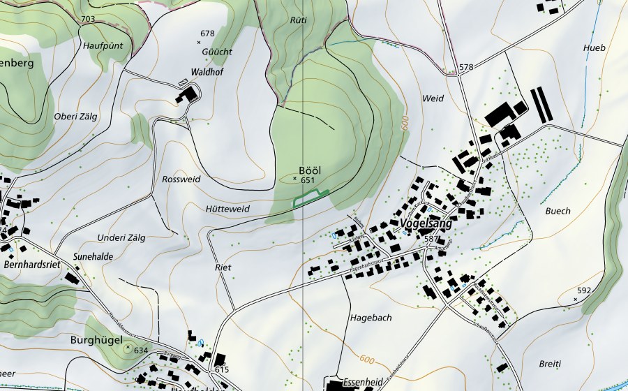 Landeskarte swisstopo mit dem Schutzperimeter von Vogelsang (Naturschutzgebiet)