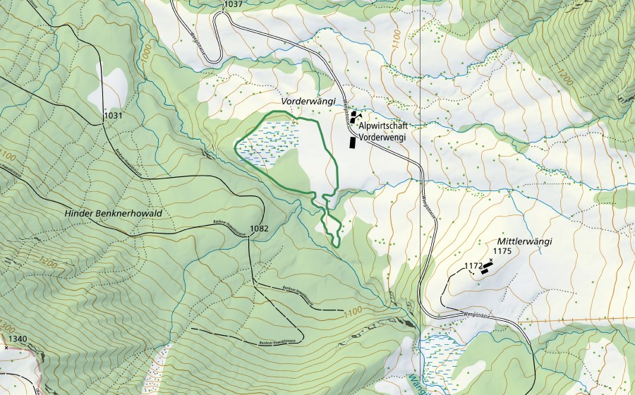 Landeskarte swisstopo mit dem Schutzperimeter von Vorderwängi (Naturschutzgebiet)