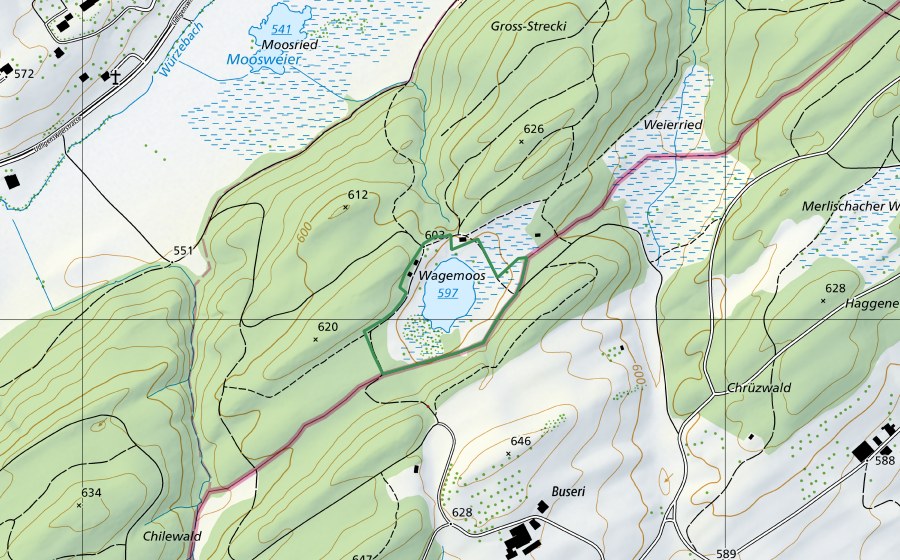 Carte nationale swisstopo avec le périmètre protégé de Wagenmoos (Réserve naturelle)