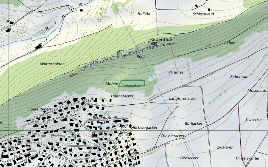 swisstopo national map showing the protected perimeter of Wahlacker (Nature reserve)