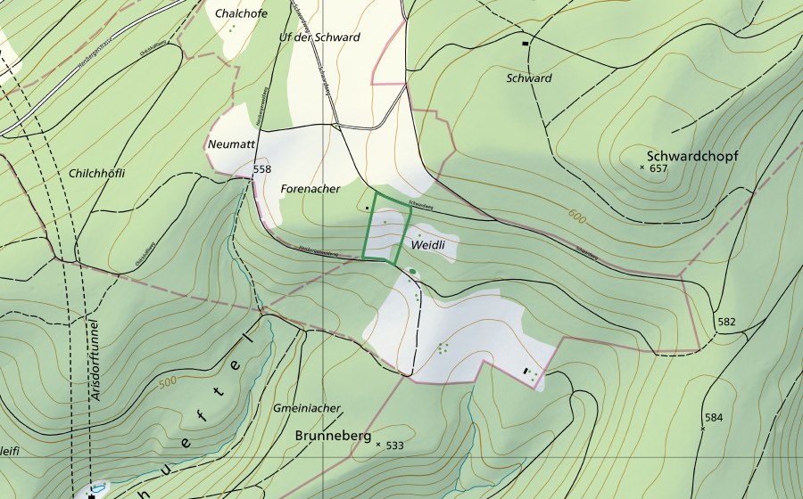 swisstopo national map showing the protected perimeter of Waidli (Nature reserve)