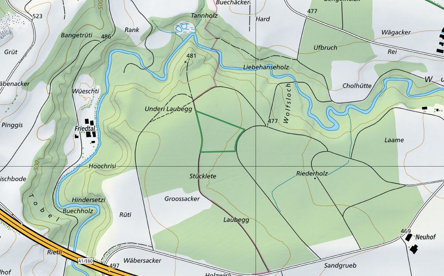Carte nationale swisstopo avec le périmètre protégé de Wald im Riederholz (Réserve naturelle)