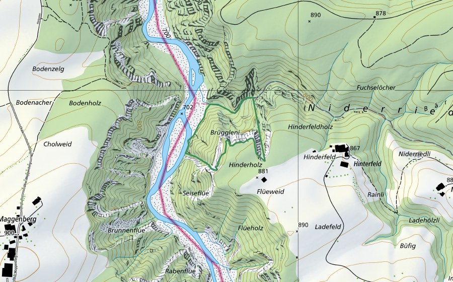 Carte nationale swisstopo avec le périmètre protégé de Wald Riedstätt (Réserve naturelle)