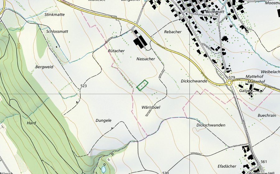 swisstopo national map showing the protected perimeter of Wärisbüel (Nature reserve)