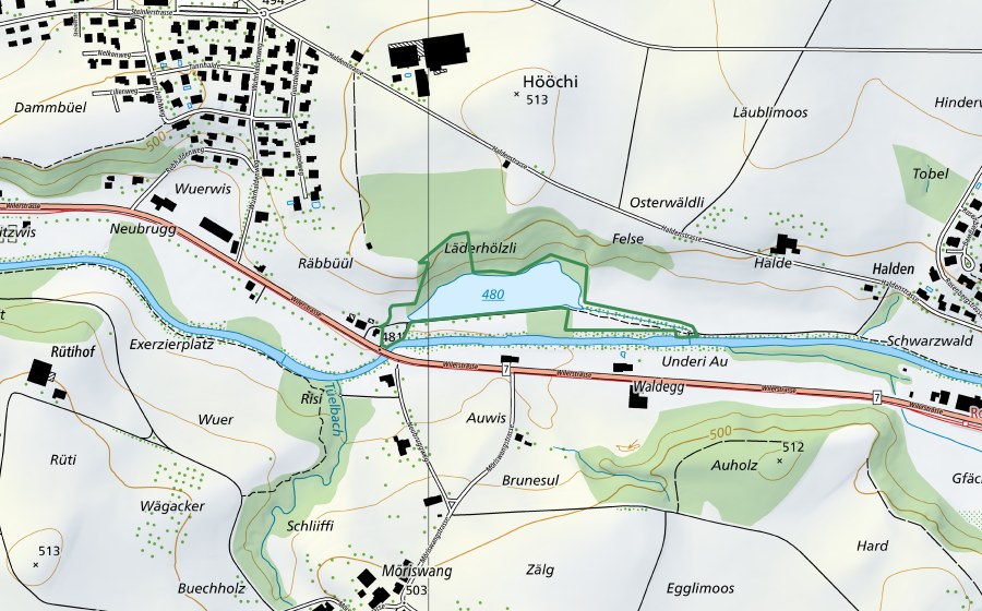 Carta nazionale swisstopo con il perimetro protetto di Webereiweiher Wängi (Riserva naturale)
