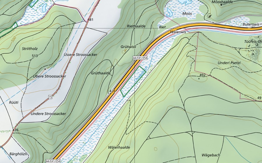 swisstopo national map showing the protected perimeter of ​Weierwisen (Nature reserve)
