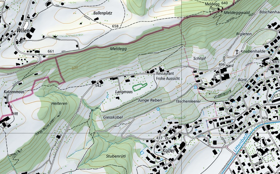 Carta nazionale swisstopo con il perimetro protetto di Weiher Langmoos (Riserva naturale)