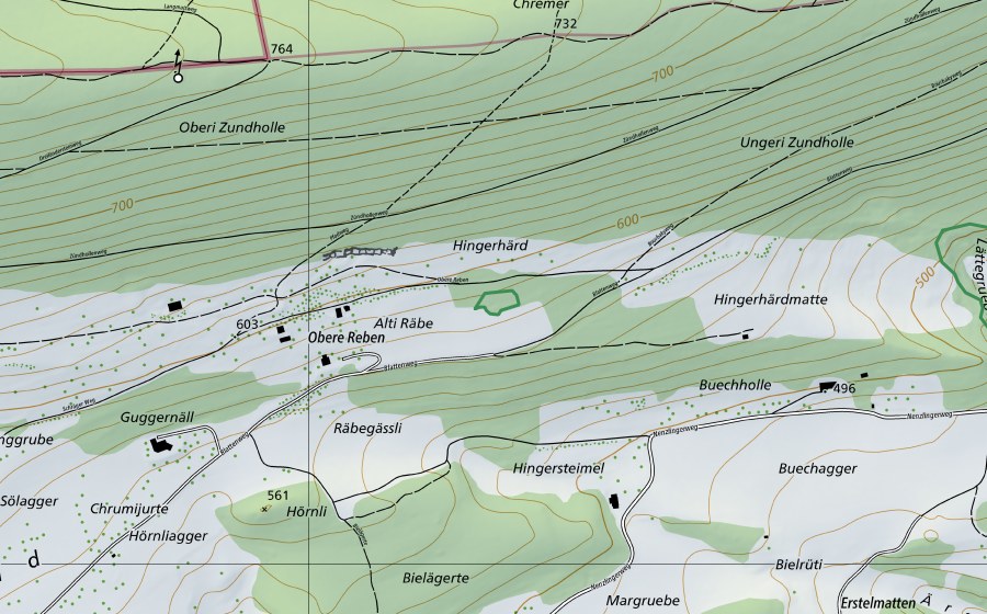 Landeskarte swisstopo mit dem Schutzperimeter von Weiher Räbe (Naturschutzgebiet)