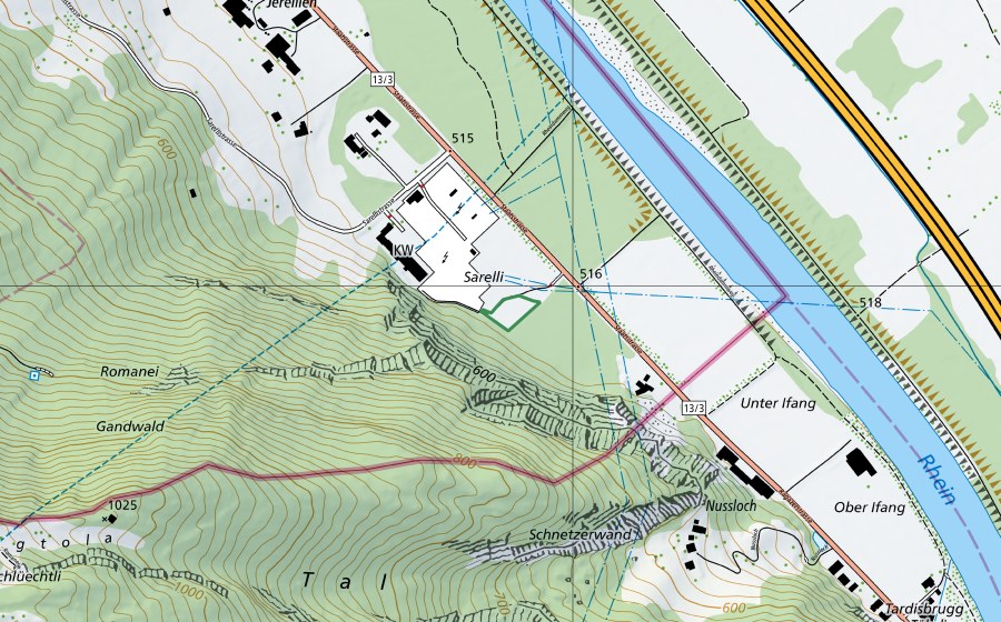 swisstopo national map showing the protected perimeter of Weiher UW Sarelli (Bad Ragaz, SG) (Nature reserve)