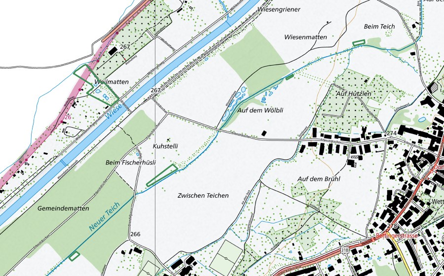 swisstopo national map showing the protected perimeter of Weiher Wiese-Ebene (Nature reserve)