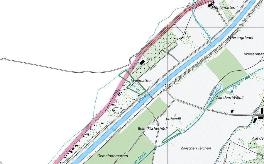 Landeskarte swisstopo mit dem Schutzperimeter von Weilmatten (Naturschutzgebiet)