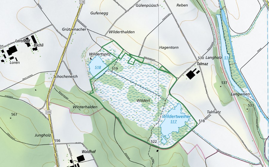 Landeskarte swisstopo mit dem Schutzperimeter von Wildert (Naturschutzgebiet)
