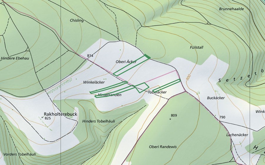 Landeskarte swisstopo mit dem Schutzperimeter von Winkeläcker (Naturschutzgebiet)