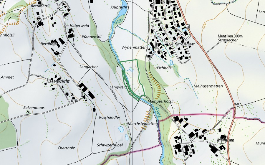 Carte nationale swisstopo avec le périmètre protégé de Wynenmatten (Réserve naturelle)