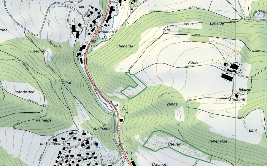 Landeskarte swisstopo mit dem Schutzperimeter von Zange (Naturschutzgebiet)
