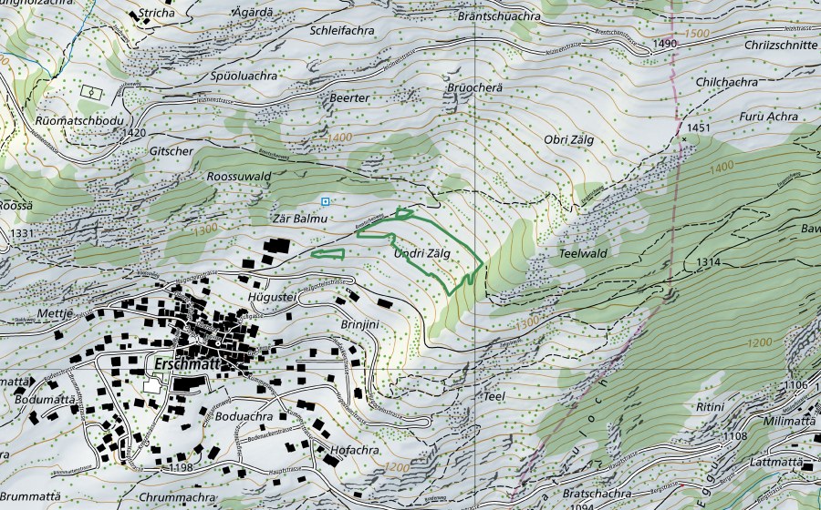 Carta nazionale swisstopo con il perimetro protetto di Zelg Erschmatt (Riserva naturale)