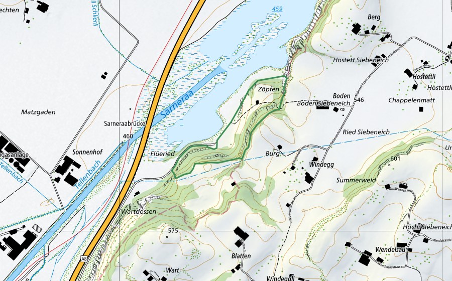 Landeskarte swisstopo mit dem Schutzperimeter von Zöpfen (Naturschutzgebiet)